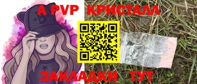 стафф Кингисепп