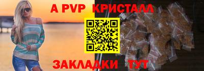 стафф Кингисепп