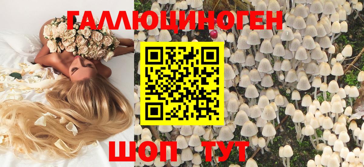Галлюциногенные грибы мухоморы Крымск