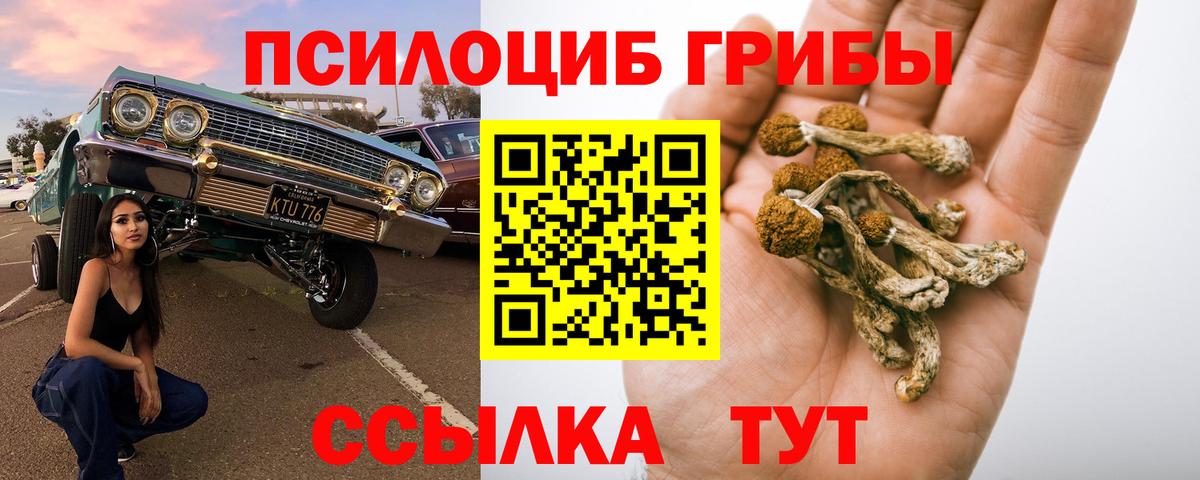 Галлюциногенные грибы ЛСД  Вход с VPN  Крымск 